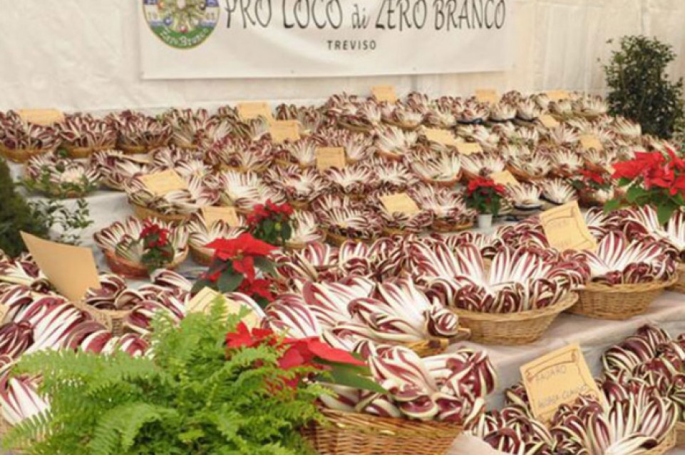 Mostra del Radicchio Rosso di Treviso IGP Tardivo: dall'11 al 20 gennaio a Zero Branco